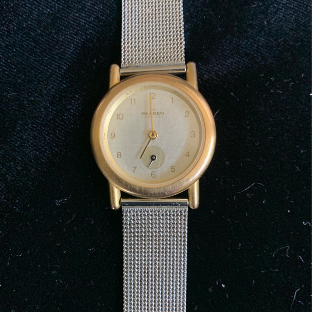 Skagen Stainless Silver and Gold Women's Watch